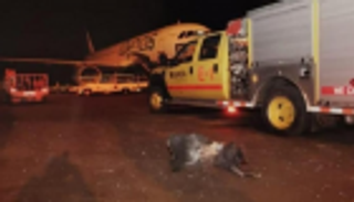 موريتانيا تدين الهجوم الإرهابي على مطار أبها السعودي