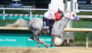 منافسات كأس رئيس الإمارات للخيول العربية تصل للجولة الثالثة بأمريكا