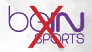 محكمة فرنسية ترفض ادعاءات "بي إن سبورتس" ضد عرب سات وتعاقبها