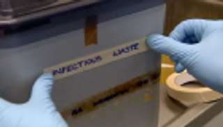 إتلاف أكبر مخزون لعينات الطاعون البقري القاتل في العالم