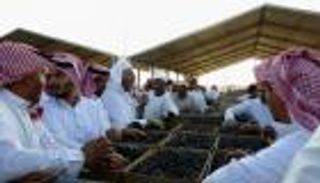 السعودية تدعو المستثمرين للمنافسة على إنشاء مدينة عالمية للتمور