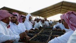 صورة لمهرجان المدينة المنورة للتمور