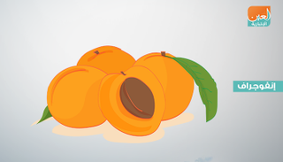 إنفوجراف.. 7 فوائد صحية للمشمش 