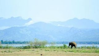 ناميبيا تعاني من إحدى أسوأ موجات الجفاف التي شهدتها في السنوات الأخيرة