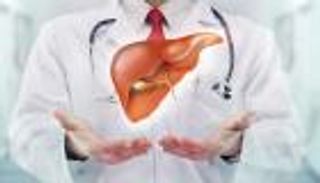"الهيالورونان" هدفا.. العلماء يتحدون دهون الكبد