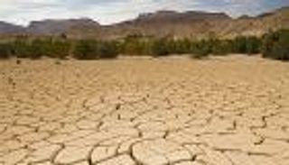 التصحر.. 8 أسباب و9 نتائج و40 مليار دولار خسائر سنوية