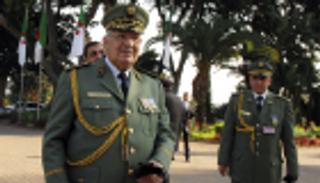 قائد الأركان الجزائري: تجميد الدستور "إلغاء لكافة مؤسسات الدولة"