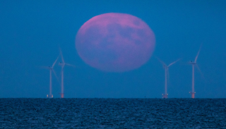 قمر الفراولة الكامل