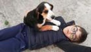 يطعمهم ويلعب معهم.. الكلاب تحب جابرييلي