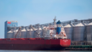 مصر تعيد فحص شحنة قمح روماني بعد رفضها