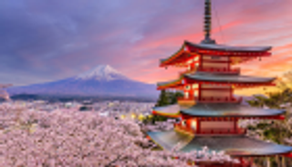 "طوكيو" مدينة السومو وعاصمة المتاحف.. تجذب ملايين السياح سنويا 