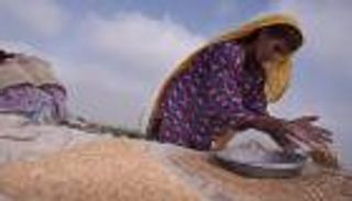 الإمارات والأمم المتحدة تطلقان مسابقة لمكافحة الجوع في العالم