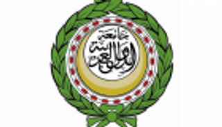 الجامعة العربية تطالب بضغط دولي لوقف تهجير الفلسطينيين