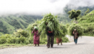 "فاو" تكافح الفقر المدقع في 130 دولة بـ"إطار مؤسسي"