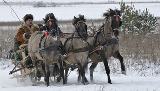 محمية روستوكزا للمحيط الحيوي في بولندا - أرشيفية