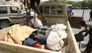  تجارة الحشيش والمواد المخدرة أحد أبرز مصادر تمويل مليشيا الحوثي 