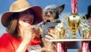 أقبح كلب في العالم.. متطوع يستخدم لأغراض علاجية