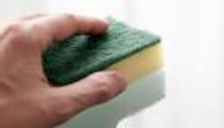 إسفنجة مطبخ تحل لغز مقاومة المضادات الحيوية