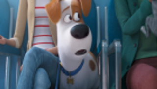 "الحياة السرية للحيوانات المنزلية".. 6 تفاصيل لم ينتبه لها الجمهور