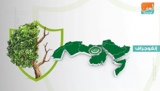 إنفوجراف.. أهداف المرفق العربي للبيئة
