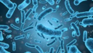 بكتيريا "الليستيريا" تتلاعب بالمناعة وتهدد حديثي الولادة