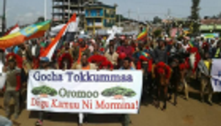 مئات يتظاهرون بإثيوبيا ضد انتهاكات عناصر "جبهة أورومو"