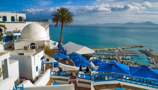 سيدي بوسعيد التونسية