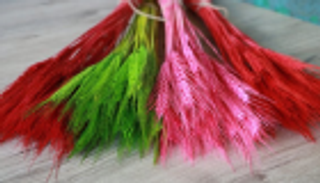 الصين تنجح في زراعة تجريبية للقمح الملون