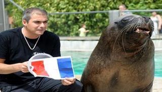 الفقمة واتسون