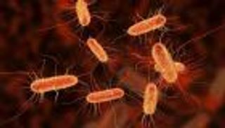 "تاموكسيفين".. عقّار لعلاج السرطان يحمي الجسم من التسمّم