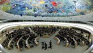 الإمارات تدعو لتحميل الدول مسؤولية التصدي للعنف ضد المرأة