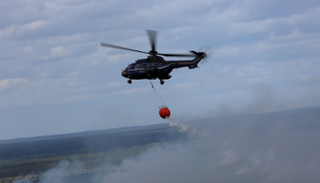 جهود مكثفة لإخماد حرائق غابات ألمانيا