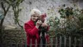 ديك مهدد بالسجن.. والتهمة "إزعاج الجيران"