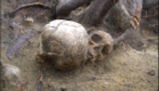 مقبرة جماعية عمرها 500 عام.. السلاسل لإعدام المجرمين بدلا من الحبال