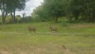 قافتا شيرارو.. موقع سياحي بمحمية فريدة في الشمال الإثيوبي