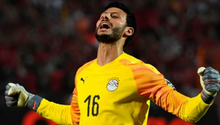 محمد الشناوي 