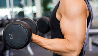  النسيج الدهني التاموري ينخفض لدى المرضى الممارسين لرفع الأثقال