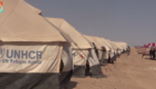 قيادية كردية تحذر من تفاقم الأوضاع الإنسانية بمخيم الهول