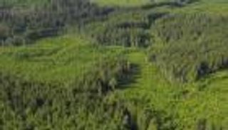 3.5 ميل من الأراضي الجرداء.. أمل العالم لمكافحة التغير المناخي