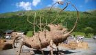 سحلية عملاقة تفوز بجائزة فن "القش والتبن"