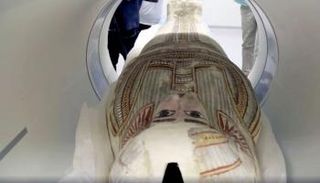 علماء روس يكشفون سر الحفاظ على شعر المومياء