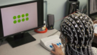 بالتجربة العلمية.. "تحدي الملل" يبدأ من المخ