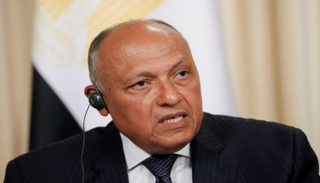 وزير الخارجية المصري سامح شكري