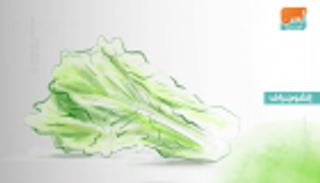 إنفوجراف.. الخس يحمي الجنين والأم خلال الحمل