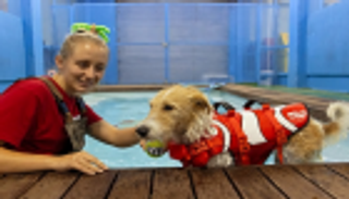 "أت فريتس".. أكبر فندق للحيوانات في العالم ينتظر "جينيس"