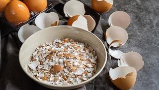 علماء يطورون تقنية واعدة لترميم العظام المكسورة - أرشيفية