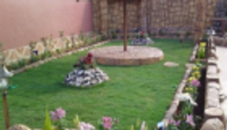 لهواة الزراعة في المنزل.. انتبهوا لمصدر النباتات 