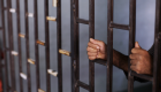 ألماني يرتدي قناع ذئب لاغتصاب فتاة