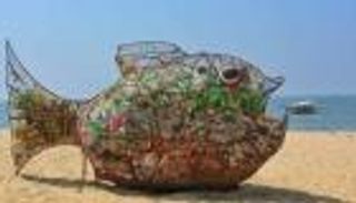 "جوبي".. سمكة تحمي الشواطئ من التلوّث