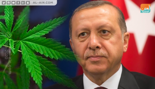 زراعة الخشخاش في تركيا